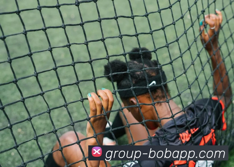 BOB体育平台生态图